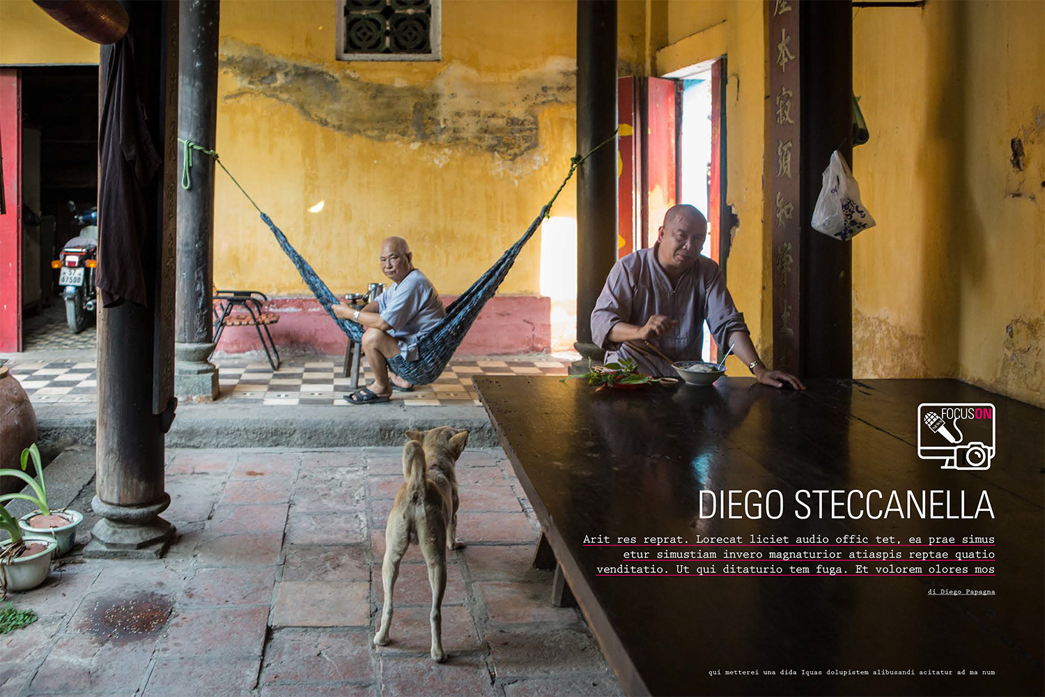 FOCUS ON: DIEGO STECCANELLA