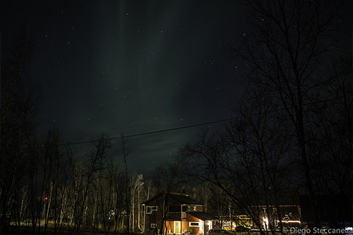 Aurora Borealis - Stoccolma - Diego Steccanella Photographer